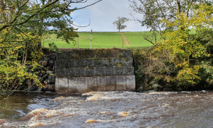 Penggunaan Concrete Canvas terbukti menjadi solusi yang sangat baik pada project PERLINDUNGAN gabion, memberikan perlindungan pada tepi sungai untuk mencegah gerusan dan erosi pada struktur gabion. Penggunaan Concrete Canvas mengurangi kebutuhan akan lebih banyak pekerjaan yang mengganggu dan juga telah memenuhi persetujuan dari regulator lingkungan karena efektivitas dan rendahnya dampak lingkungan yang terhadap sungai.